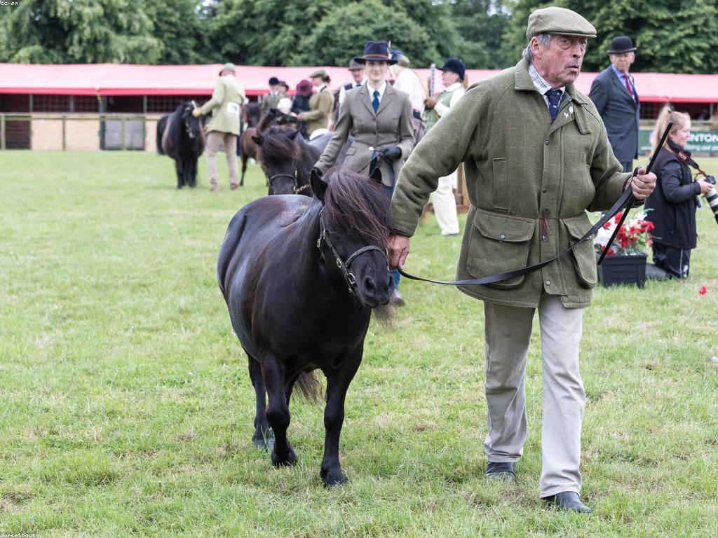 យល់ដឹងអំពីការប្រកួតរង្វាន់: វិធីសាស្ត្រនិងកម្រិត